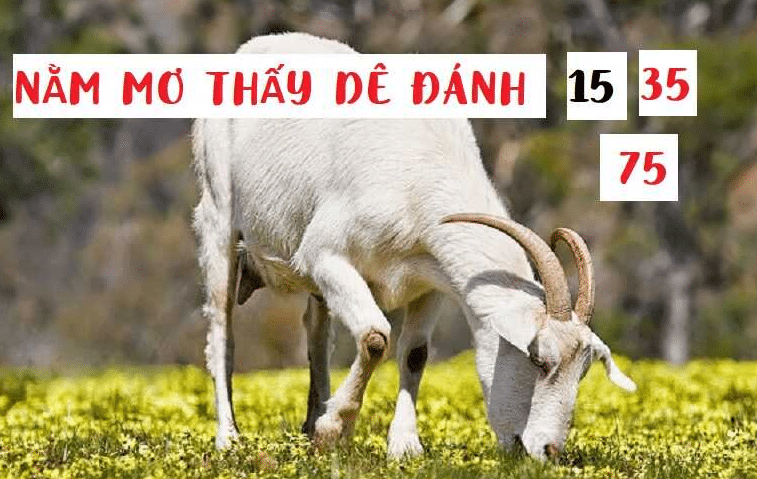 Đánh con gì khi mơ gặp con dê